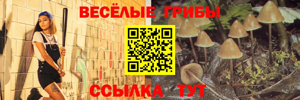 Галлюциногенные грибы мицелий  Псилоцибиновые грибы прущие грибы  Оренбург  Вход с VPN 
